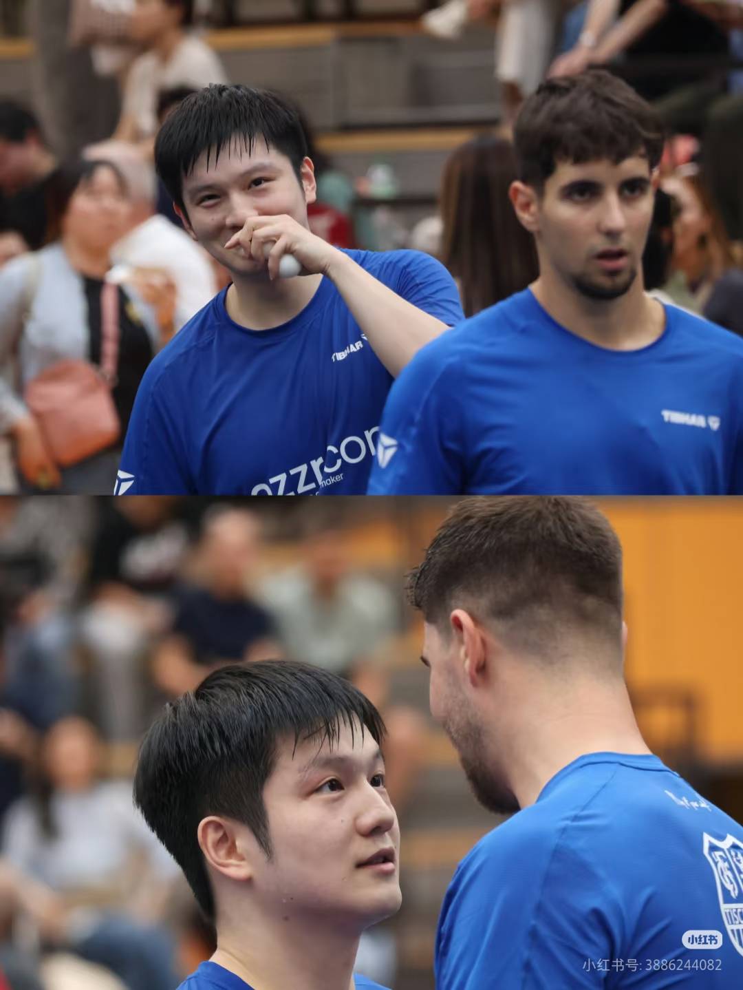 恩师吴敬平点评樊振东德甲首秀，失利不是坏事